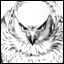 IanPayne's Avatar